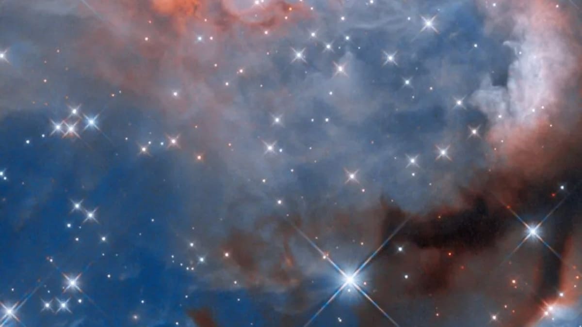 Así es como nuevas estrellas aparecen en una nebulosa: Hubble capta el proceso