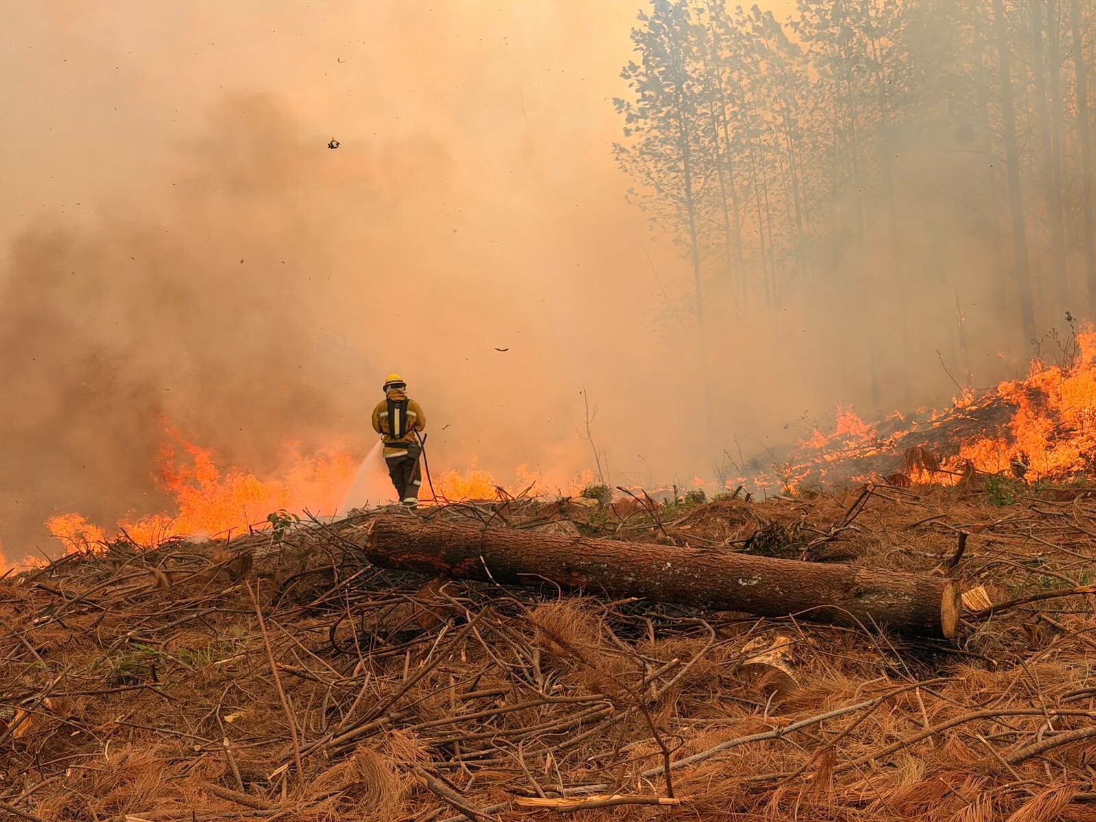 Un total de 574 incendios de cobertura vegetal se han registrado en el Cauca durante la actual temporada seca. Bomberos Popayán