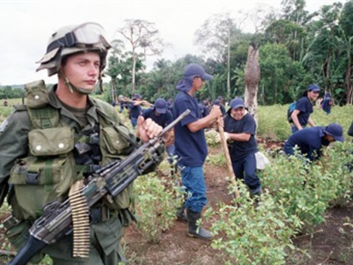 Tensión por erradicación de cultivos ilícitos antes de iniciar diálogos en el Catatumbo