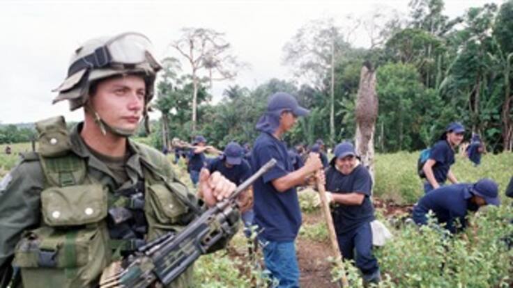 Tensión por erradicación de cultivos ilícitos antes de iniciar diálogos en el Catatumbo
