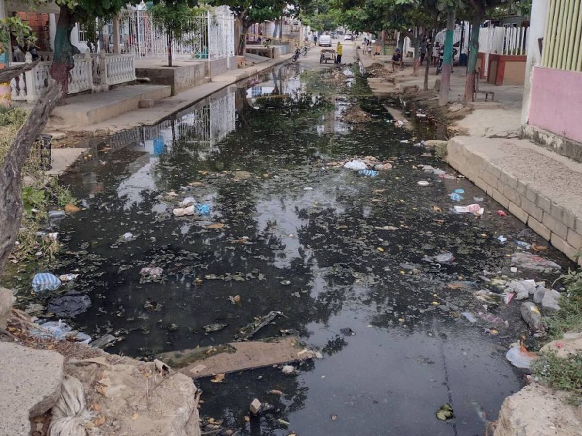 Cartagena registra 211 casos de dengue en enero