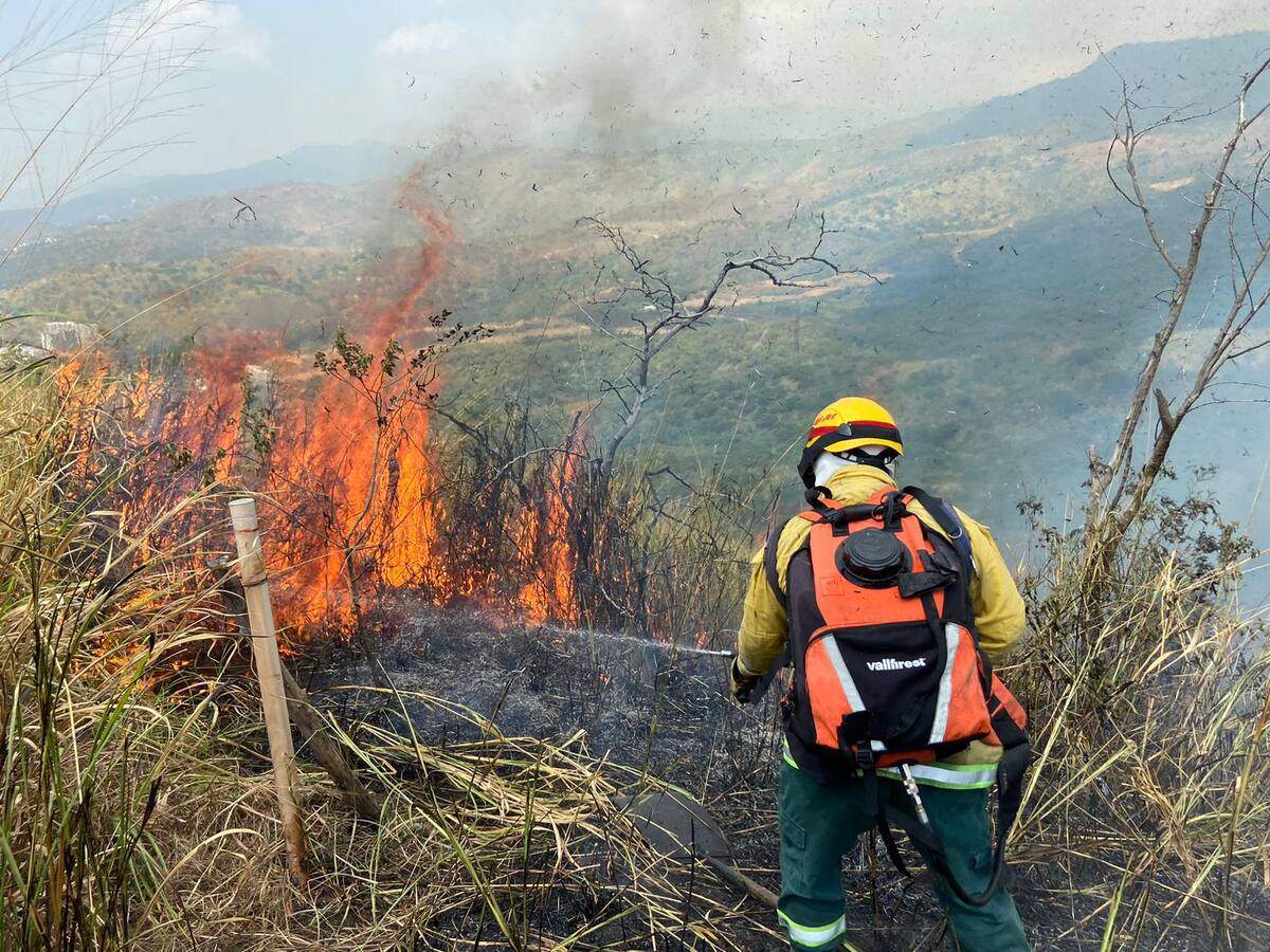Incendio forestal en Yumbo deja 30 hectáreas afectadas