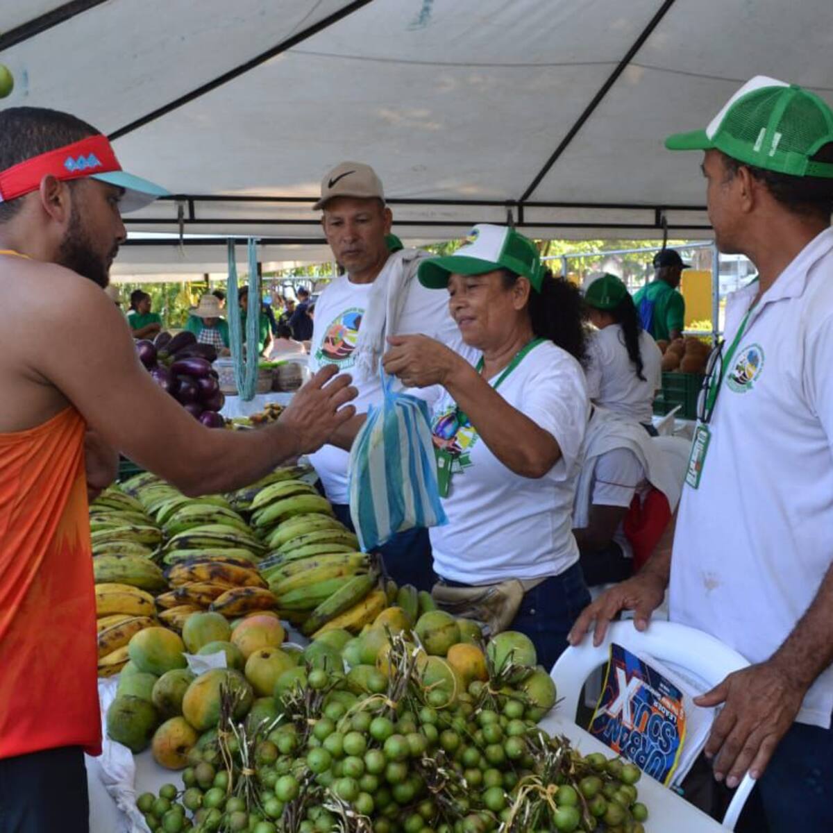 Mercado Campesino del PES – Pedro Romero en Cartagena este sábado 6 de julio