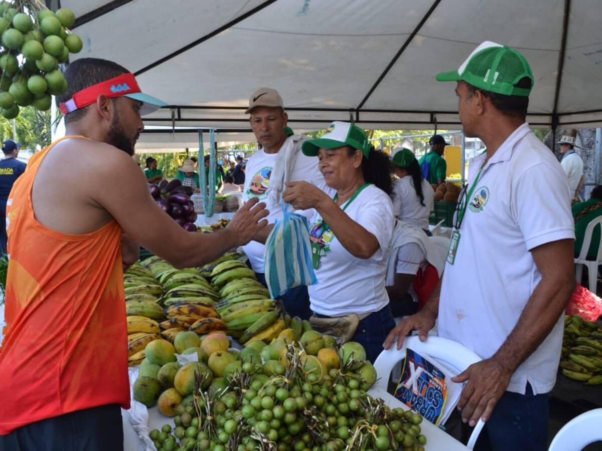 Mercado Campesino del PES – Pedro Romero en Cartagena este sábado 6 de julio