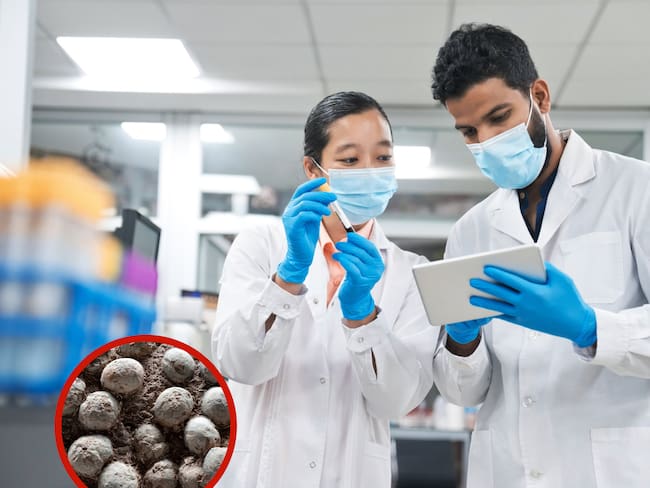 Científicos en un laboratorio junto a unos huevos de dinosaurio (Foto vía Getty Images)