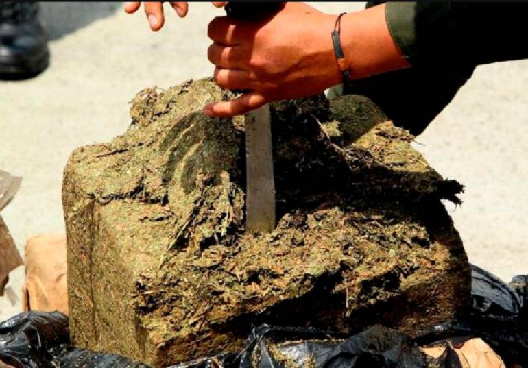 Marihuana incautada en el municipio de La Estrella, Antioquia. 