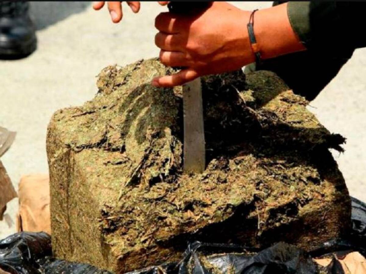 Incautan media tonelada de marihuana en el municipio de Itagüí, Antioquia