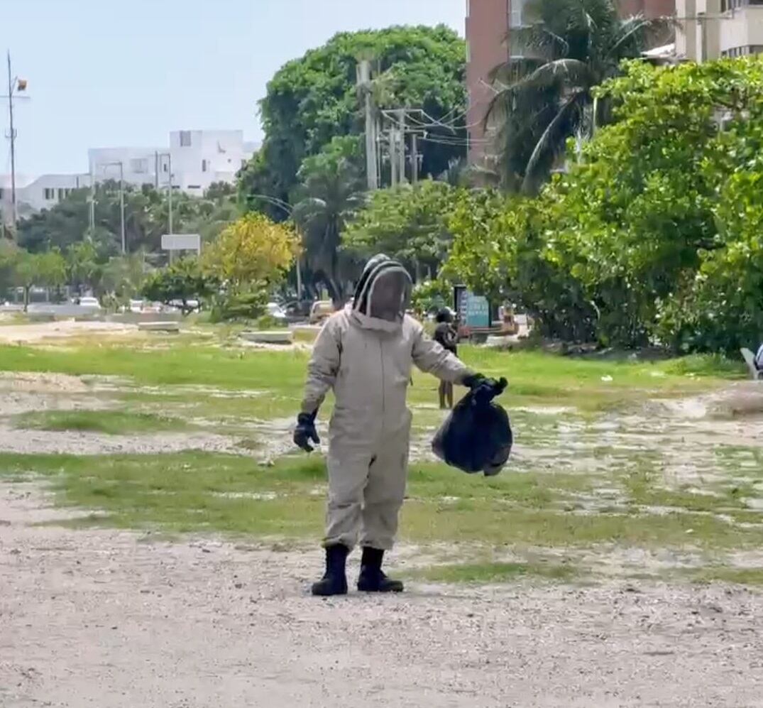 Alcaldía de Cartagena