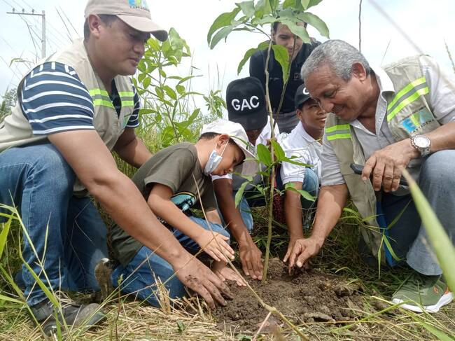 Alcaldía de Cartagena