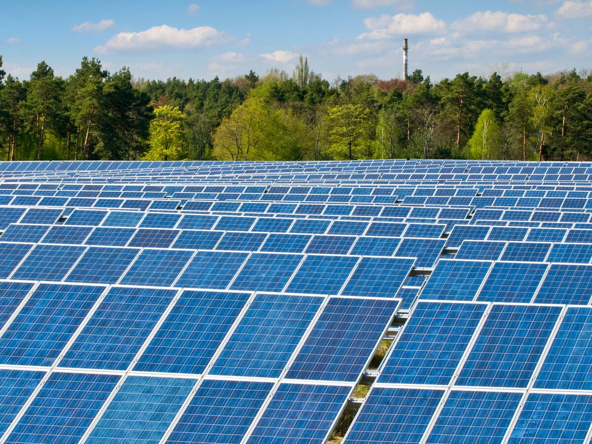 El conflicto entre el consorcio chino Lux Power y Urrá por el parque solar en Córdoba