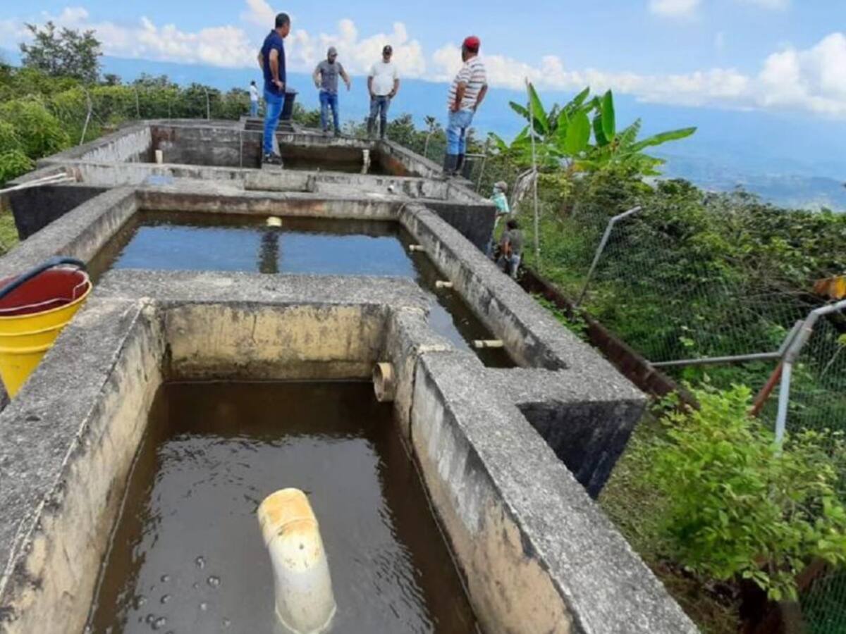 Evaluación sobre la calidad del agua en zona rural de Manizales