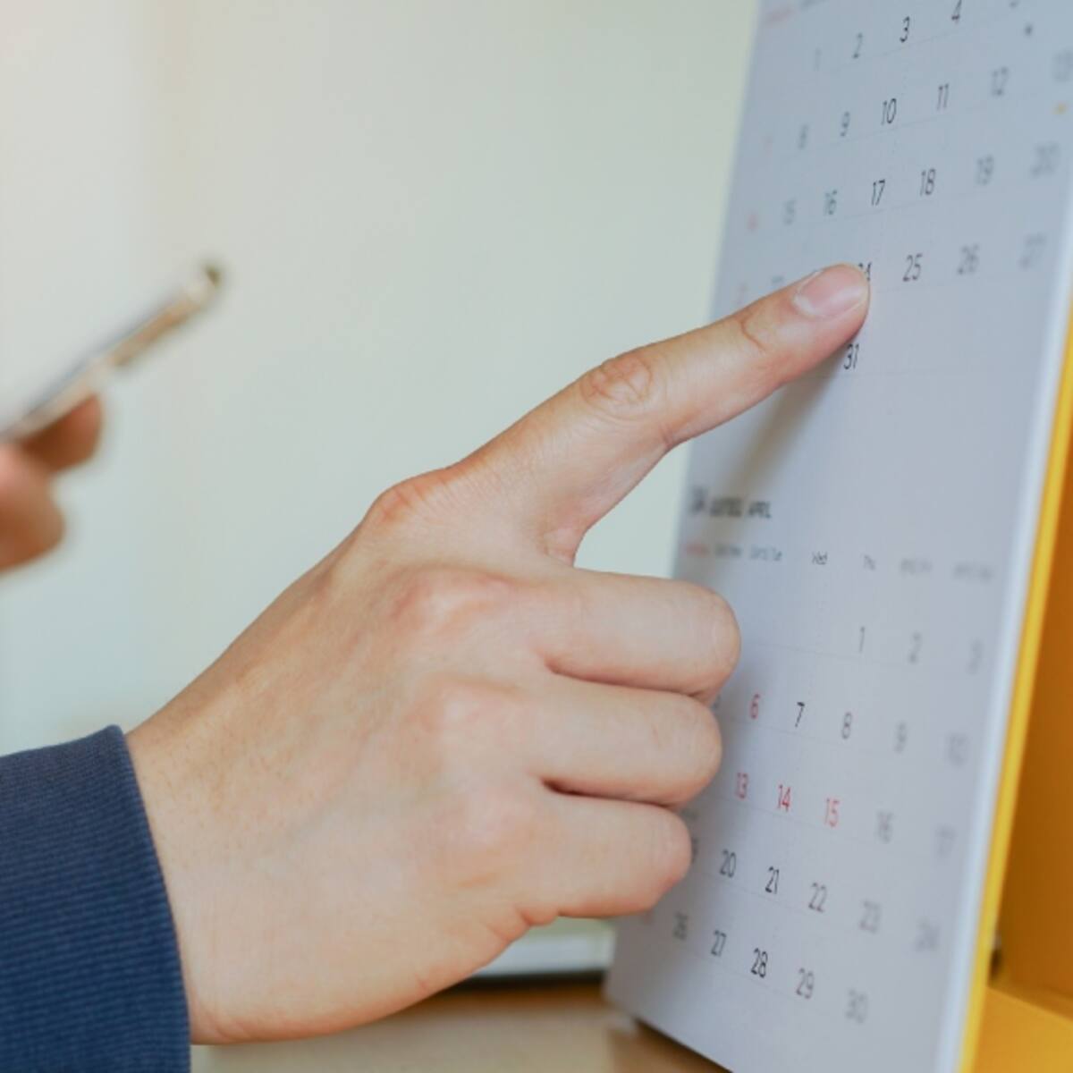 Días festivos en noviembre 2023: cuántos hay y qué se celebra