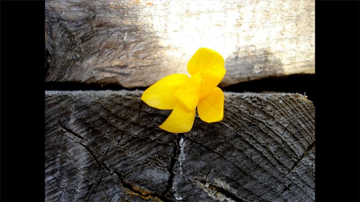 “Banca dentro de la iglesia de Amatlán, Veracruz, México”, por César Santiago Linares Cervantes.