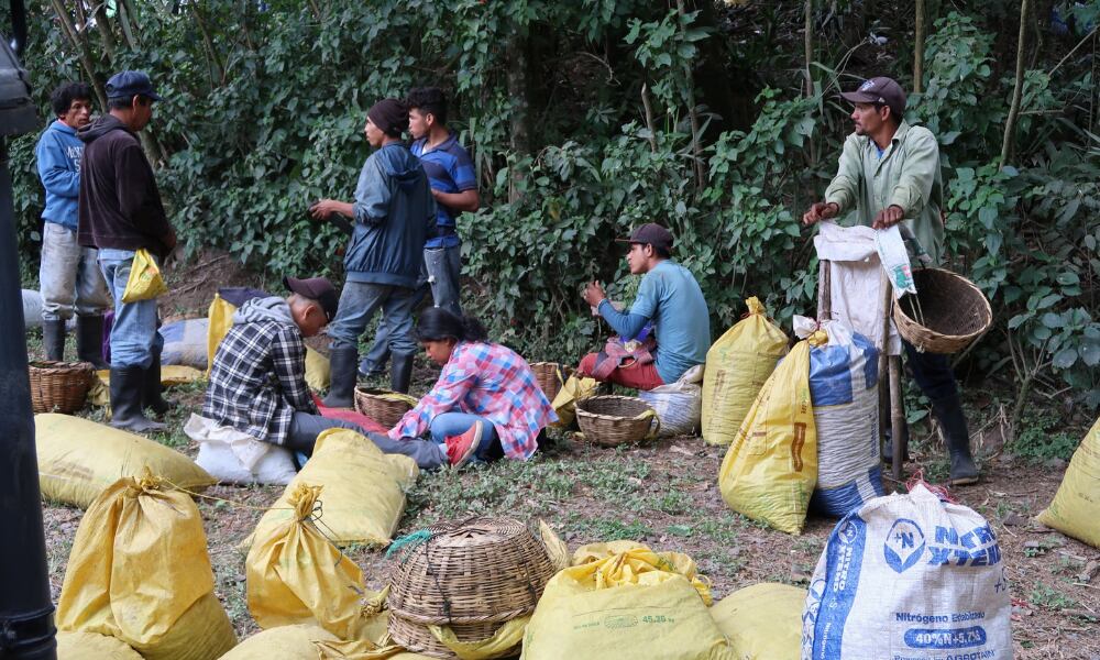 Eliminar criaderos de mosquitos y acudir de inmediato a los servicios. Foto Relacionada.