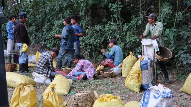 Eliminar criaderos de mosquitos y acudir de inmediato a los servicios. Foto Relacionada.