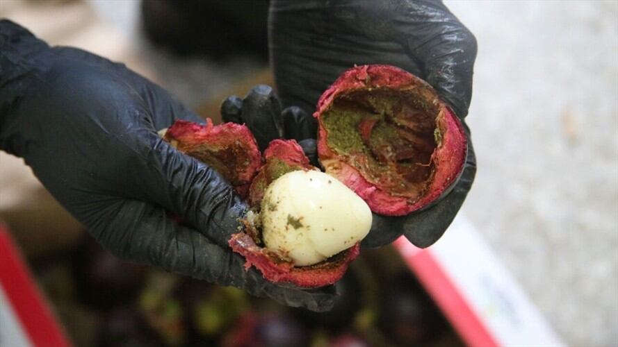 Descubren 33 kilos de cocaína en cargamento de mangostinos. Foto: Policía Nacional