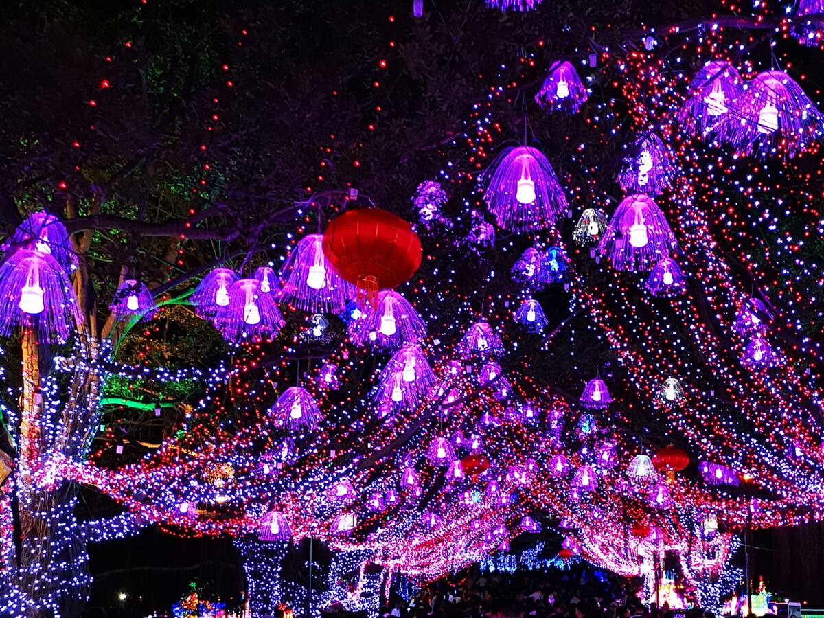 10 municipios de Santander también contarán con alumbrado navideño