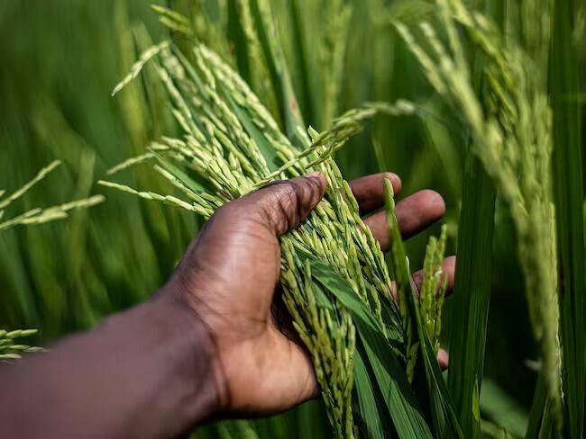Foto archivo Caracol Radio
