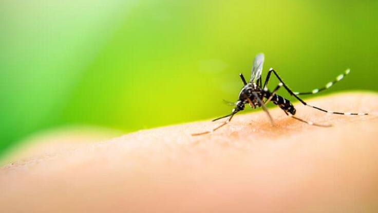 Carlos Fabian Suta Vega, coordinador de Enfermedades Transmitidas por Vectores