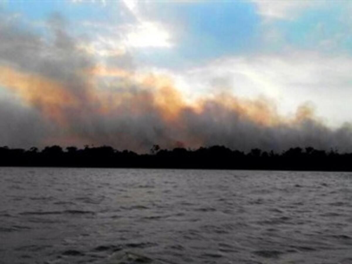 Declaran 'Calamidad Pública' por incendio forestal en Chocó