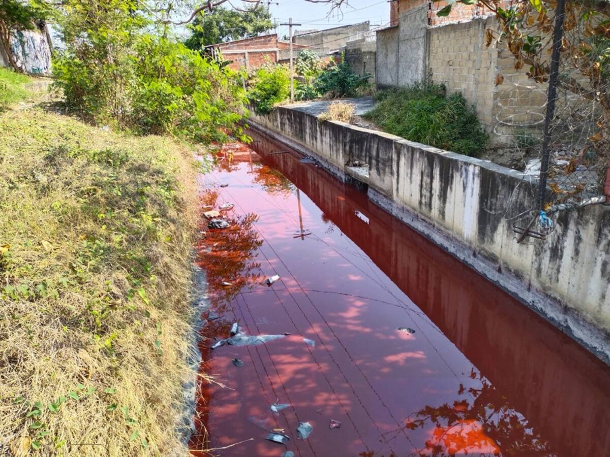 En Santa Clara esperan resultados de calidad del agua por mancha roja en un canal