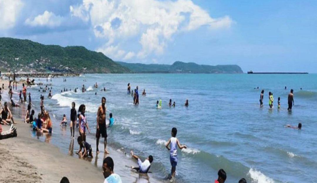 Archivo - Referencia