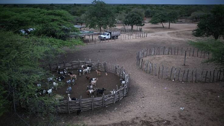 ECOGROUND UNA EMPRESA QUE LE APUESTA A LA SOSTENIVILIDAD Y EL CUIDADO DEL MEDIO AMBIENTE