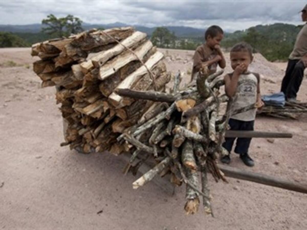 200 millones de latinoamericanos en riesgo de caer en la pobreza: PNUD