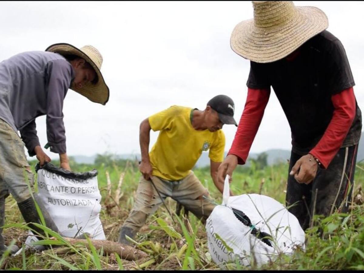 La Gobernación de Cundinamarca invierte más de 3 mil millones de pesos en sector agropecuario