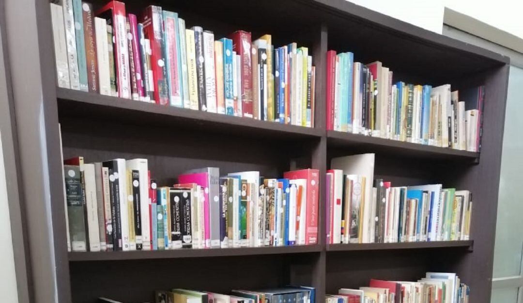 Libros donados a Manizales