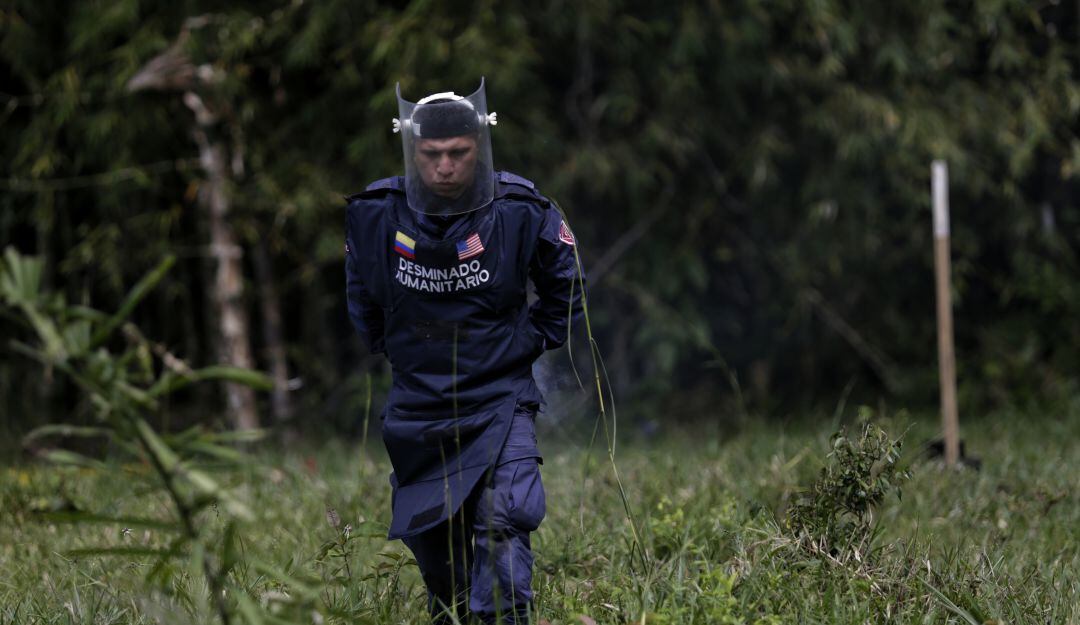 Imagen de referencia