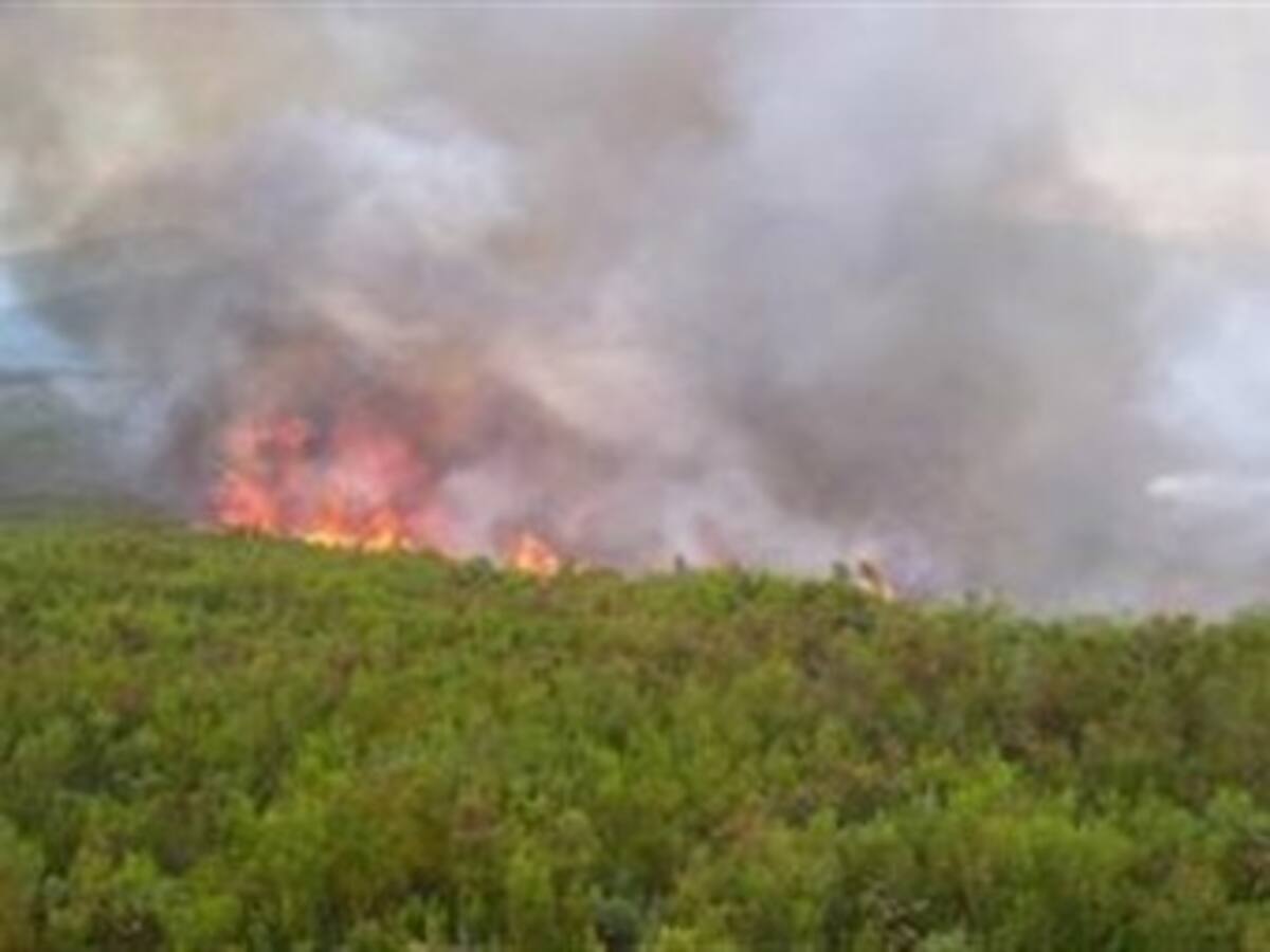 Alerta por incendios forestales en parques naturales del Eje Cafetero