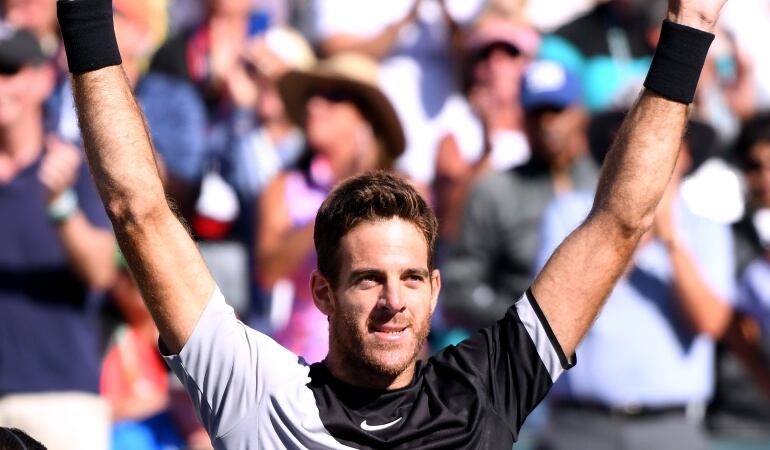 Juan Martín del Potro 