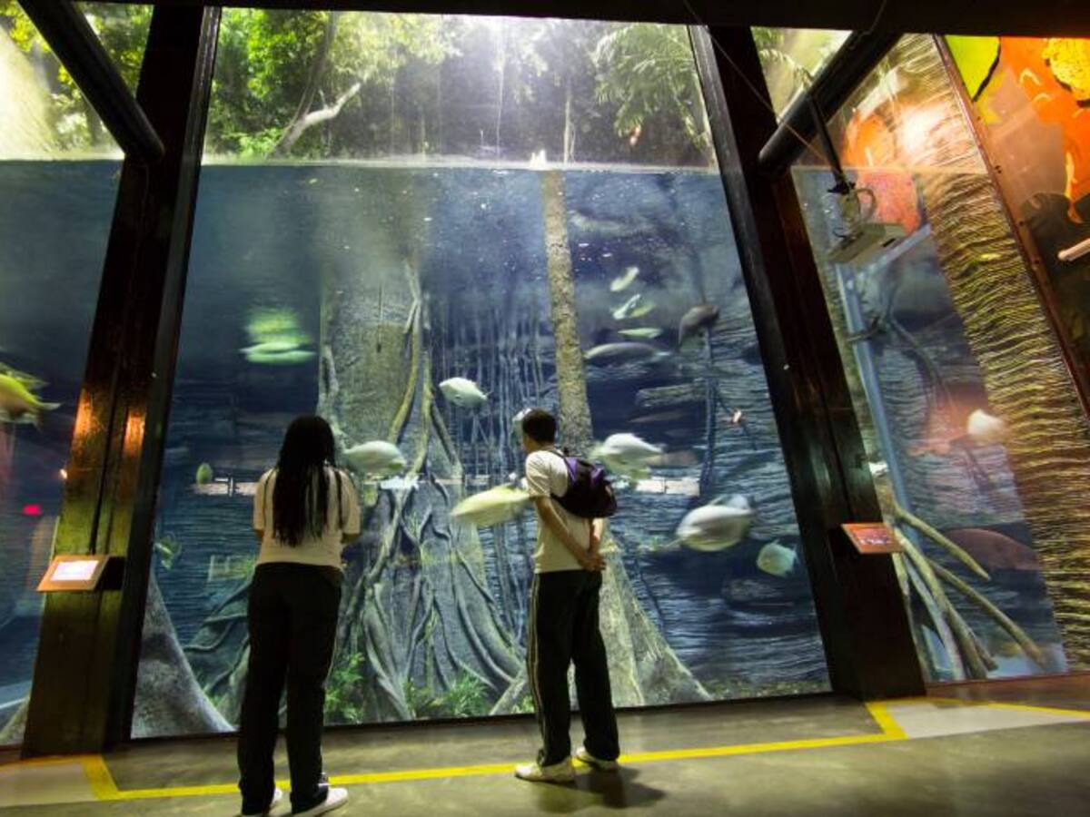 En Medellín se dialogará sobre la importancia de los museos