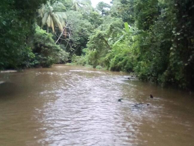 Luto en el gremio cafetero, ‘Carlitos’ fue arrastrado por la creciente