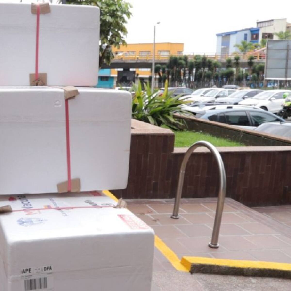 Dosis Sinovac llegaron a Caldas para ser aplicadas a niños de 3 a 11 años