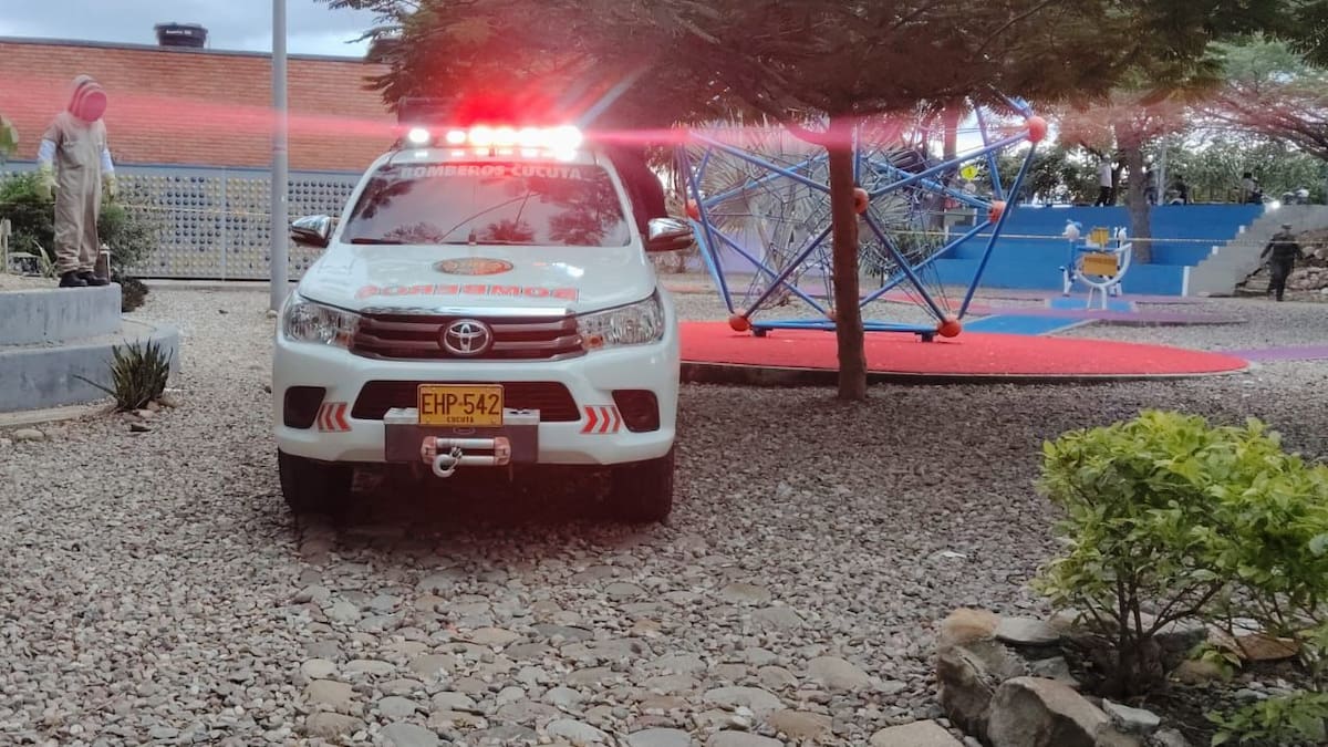 En lo corrido del 2026, Bomberos Cúcuta ha atendido más de 300 alertas por enjambres de abejas