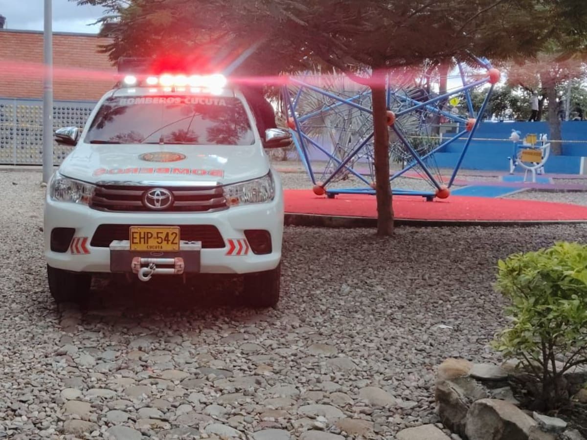 Bomberos alertan por aumento de ataques de abejas y falta de protocolos en Cúcuta