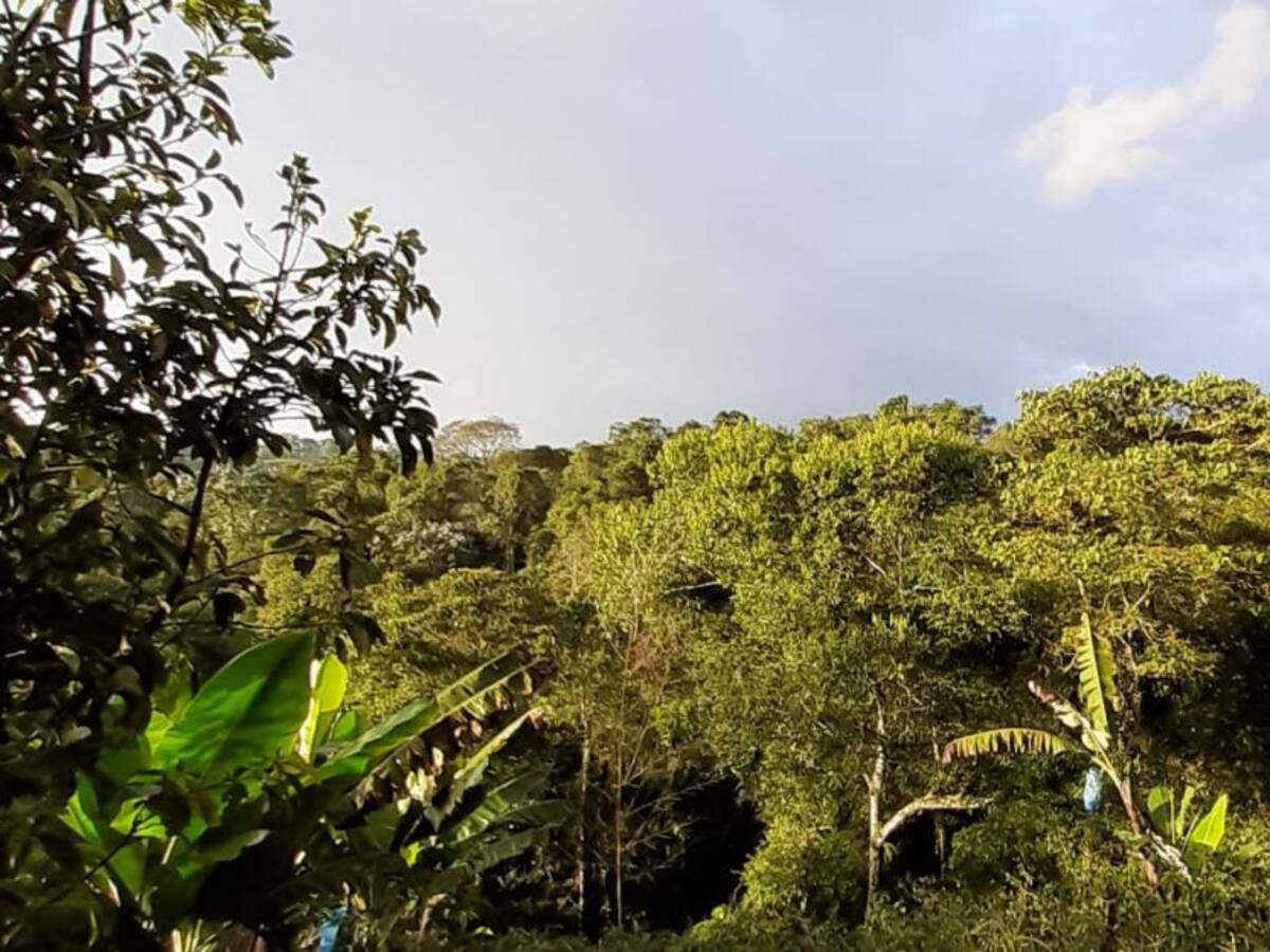 Lunes 6 de julio, las noticias más importantes de Armenia y el Quindío