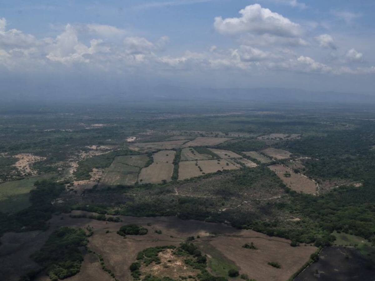 HRW acusa a Venezuela de ejecutar civiles en frontera con Colombia