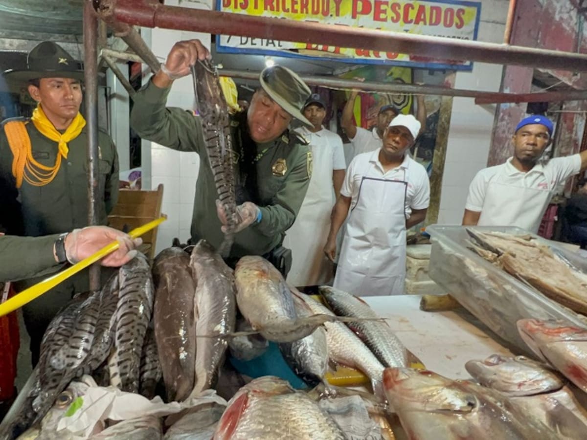 Policía realiza operativos a comercialización de pescado en Bazurto