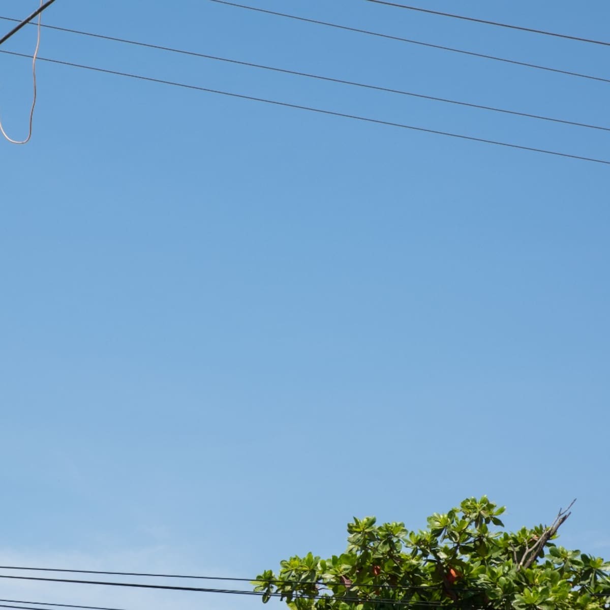 Trabajos eléctricos afectarán servicio de energía en Sabanalarga y Palmar de Varela este lunes