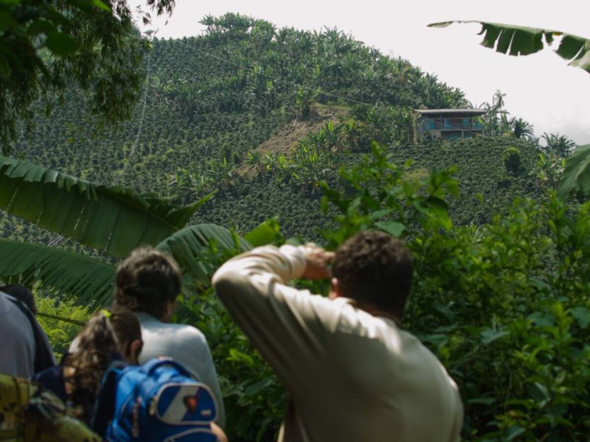 En aproximadamente un 37% se redujo la ocupación hotelera en Manizales