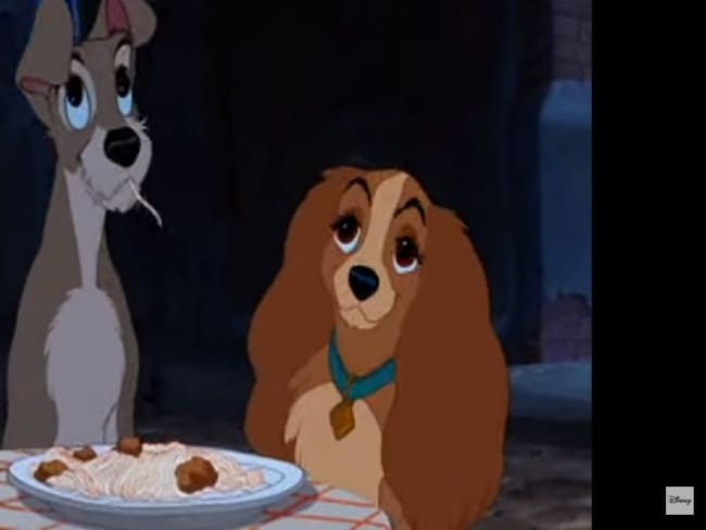 'La dama y el vagabundo' se preparan para remake con perros reales