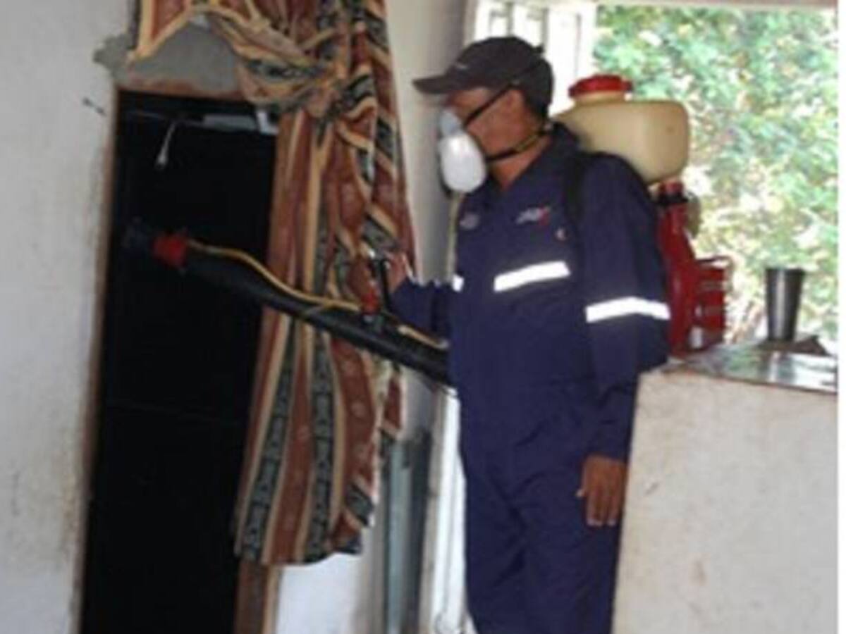 En Armenia fumigan para evitar propagación del mosquito que transmite el Zika