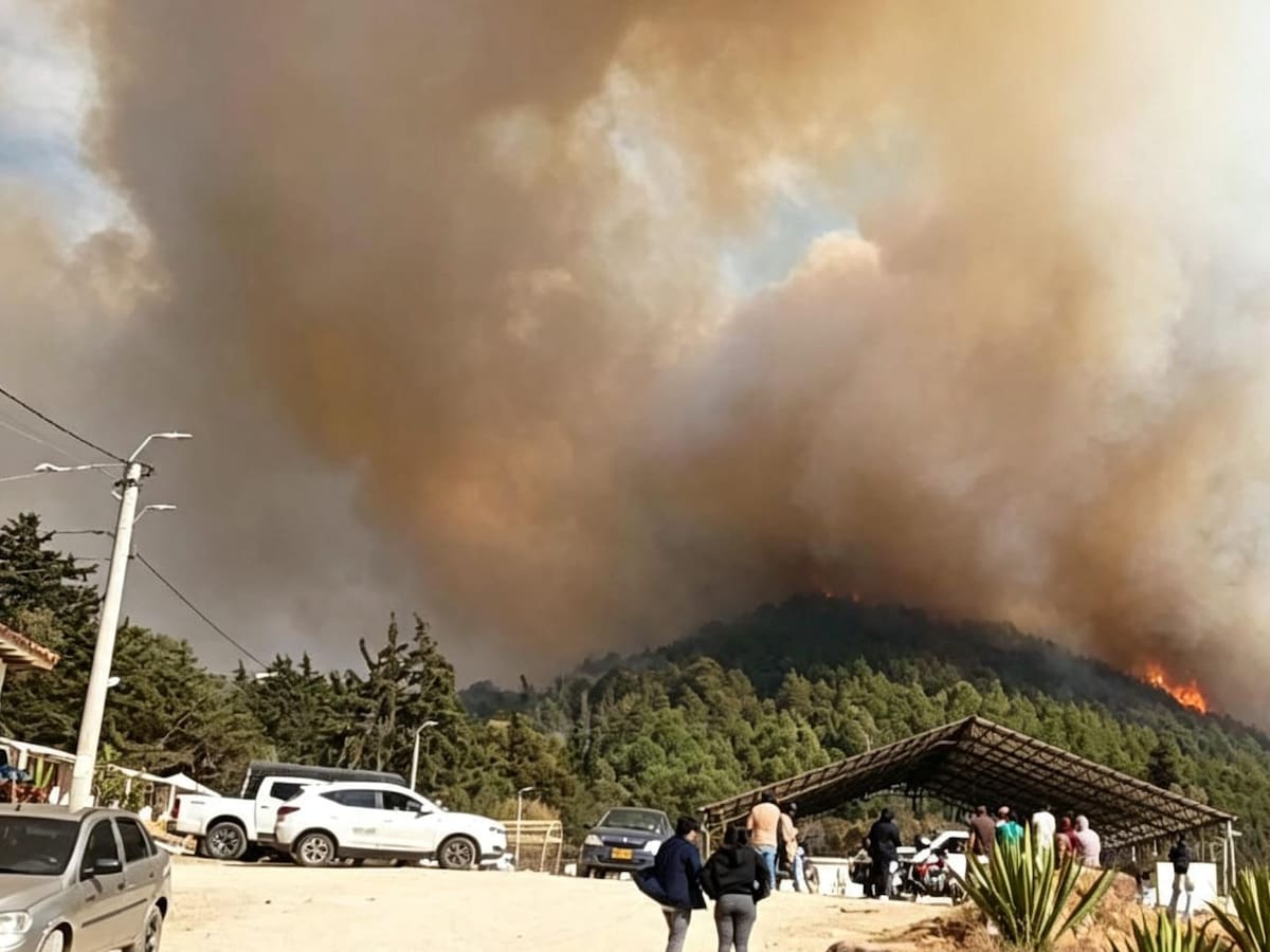 “Tenemos llamas de 20 o 30 metros”: habitante de Villa de Leyva habla sobre el incendio forestal