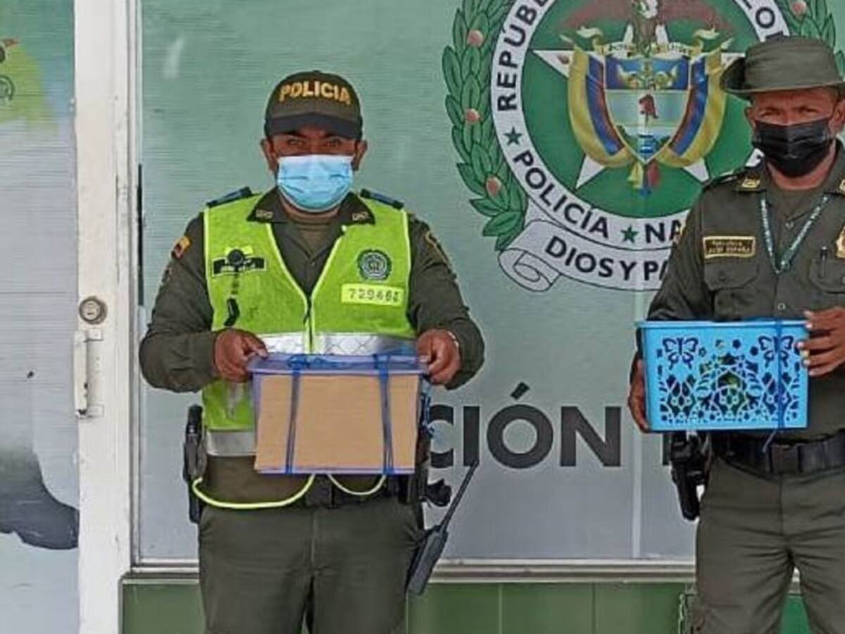 Operativos dejan recuperación de animales silvestres en Cartagena