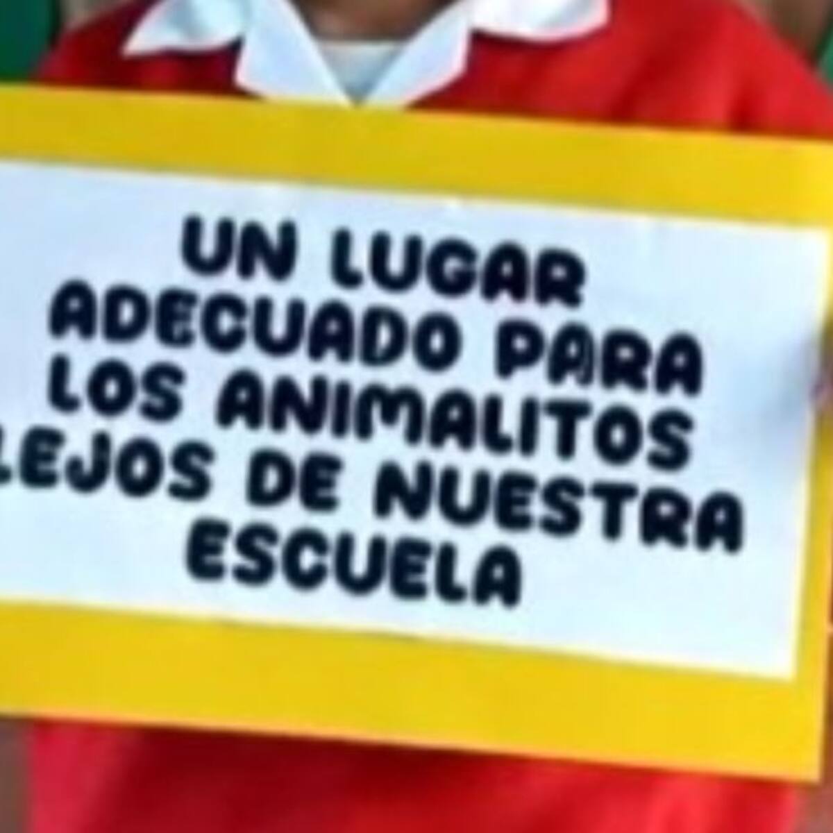 En Tunja protestarán por predio designado para Centro de Bienestar Animal