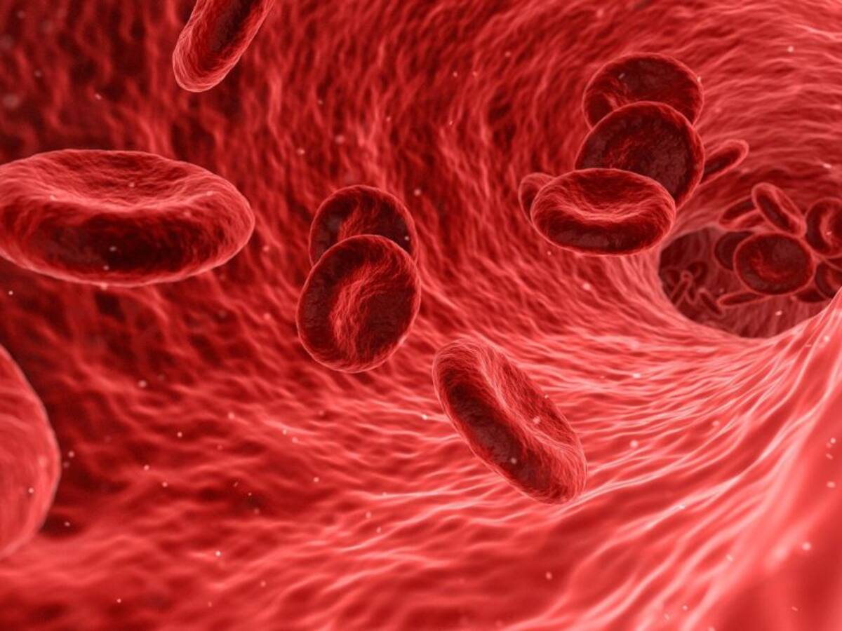 Síntomas y riesgos del ataque cerebrovascular