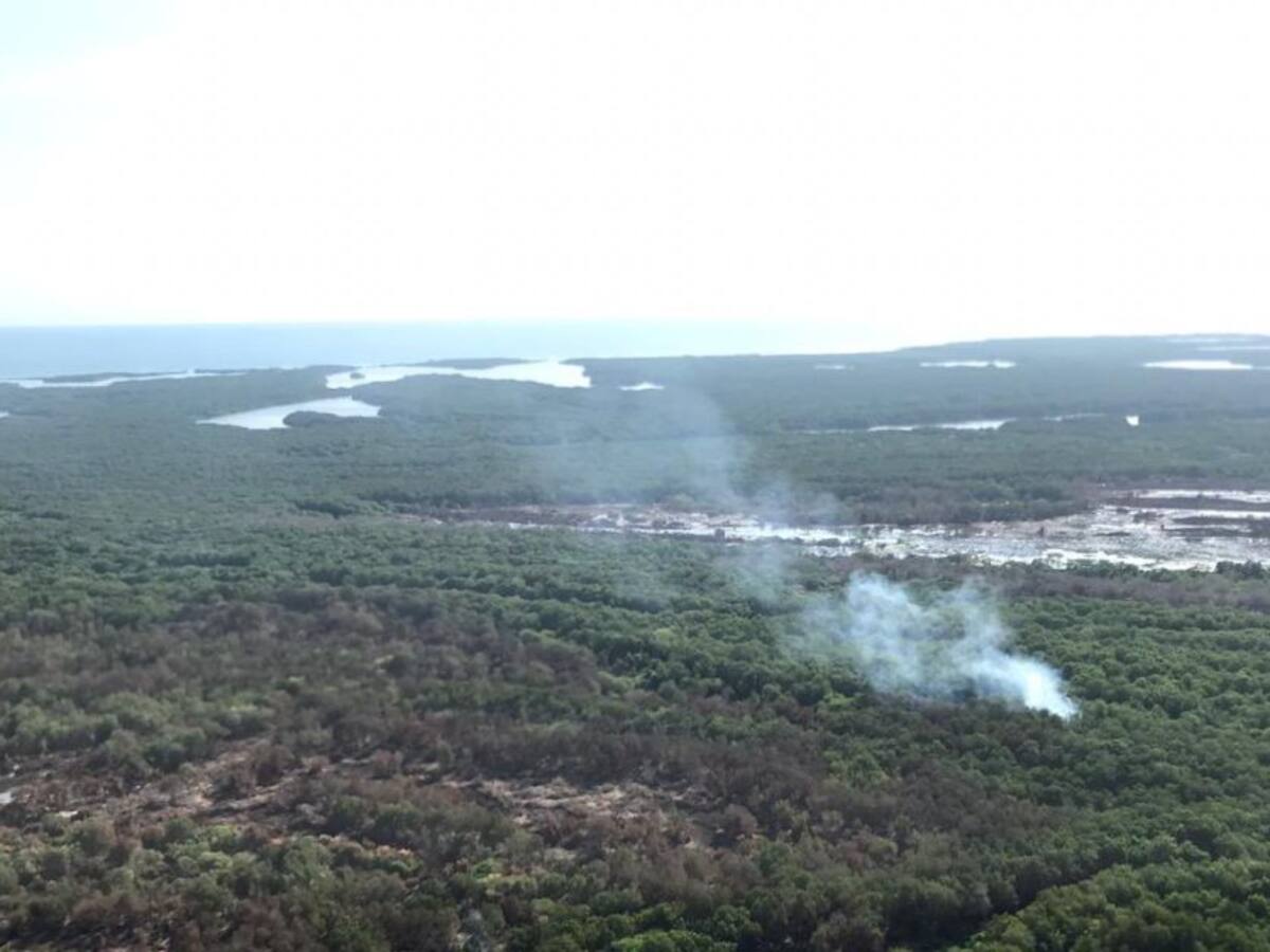 Mauricio Gómez solicitará militarización del parque Isla Salamanca